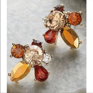 Soft surroundings crystal floral earring